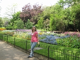 Garden and Me